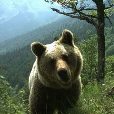 racraus09's profile picture. 