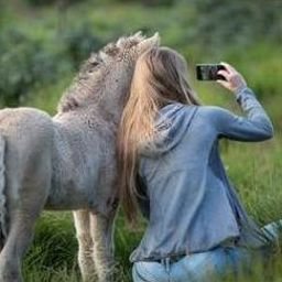 Alvrerfaw58632's profile picture. 