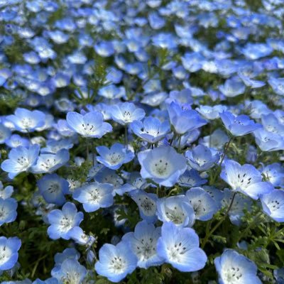 free_sky_320's profile picture. あおのスマホ写真アルバム。