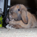 AJ Theodore - @AJTheodore - Twitter