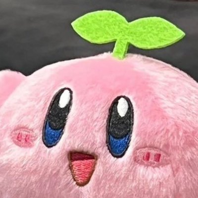 Makuliro's profile picture. the possibility of those possibilities being possible is just another possibility that could possibly happen.