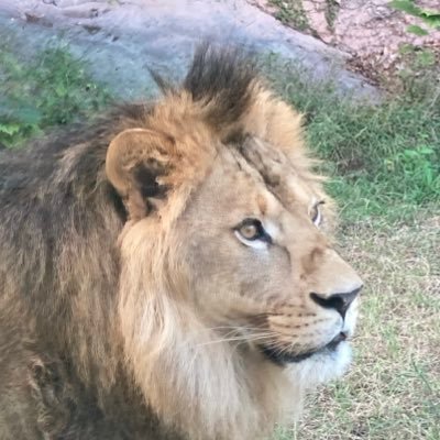 toudori13's profile picture. 花や動物、神社が好き。令和5年より国民民主党党員(元自民党員)/穏健保守/私が現実主義なので左派や極右が大嫌いです。(➡️立共れ社参ニチホ❌)/趣味と党の応援垢です。