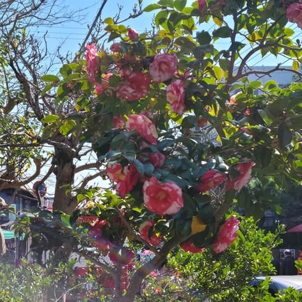 LhQY4OqmTG58751's profile picture. 