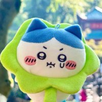 gumi (@gumivotes) 's Twitter Profile Photo