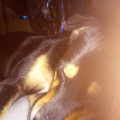 SEIHAI16's profile picture. 