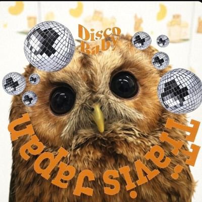 hirorororo222's profile picture. ライブ好き。舞台好き。スケート好き。慣れないけど2023年からはなるべく呟くぞと決めた✊