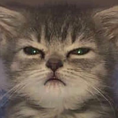 IDev_Noop's profile picture. 17 | Game Developer / UI Designer /Icon Designer / Map Builder.

Discord: idev_noop