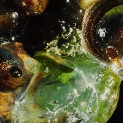 rikomurdoc's profile picture. links🔗: https://t.co/zDgWtCQ1A0