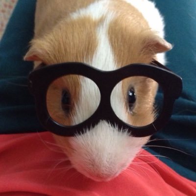 U_Deng__'s profile picture. 