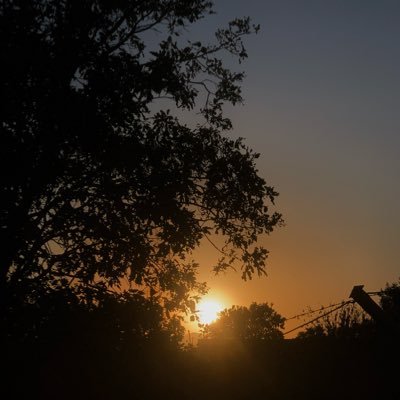 shariia0's profile picture. أنا لعيونه بس..