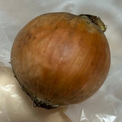 o31mFr4pqN84110's profile picture. 2025年2/21からトレード始める。2児の母。仕事有り。空き時間にﾃﾞｲﾄﾚ。40代からでもﾃﾞｲﾄﾚ極めます。毎日のﾃﾞｲﾄﾚ内容をﾀﾞﾒ出しだけでなく褒めることを大切にします。