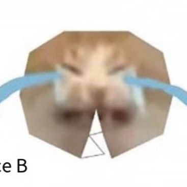 hooummm's profile picture. ᖰ₍ᐢ. .ᐢ₎ᖳ 𓂃 ♪