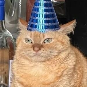 mumscorgi's profile picture. full of anger and soup