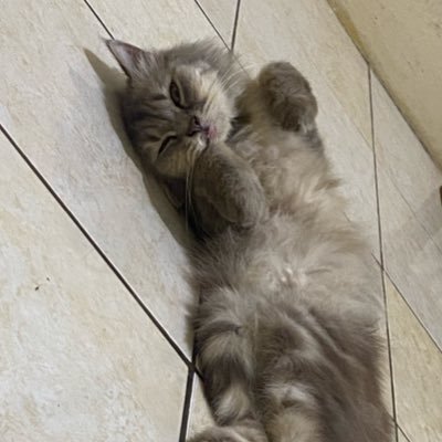 Jasa bersih2 kos, sewa motor, titip barang, dll🤗