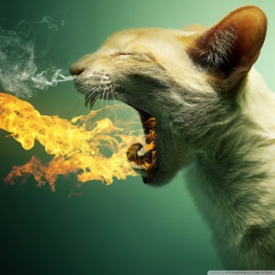 OG_biyasa's profile picture. Living in World of Crypto