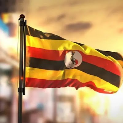 elvisnicholas77's profile picture. 