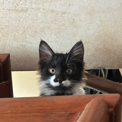 BigFatBaby2's profile picture. 