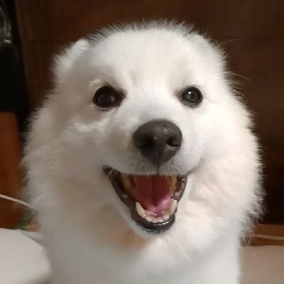 ABC25118189's profile picture. 「リーリの魔法のアトリエ〜百年魔法３〜」製作中　#ニコニコ動画 で「ドラゴンゲート〜百年魔法2〜」「あくまきん」「百年魔法」視聴可 ※ゲームではないです
1つの物語を動画として作品にするということでRPGツクールを使って作品にしたものを動画としてアップしてあります自動再生なので文章を読むだけです 安心品質