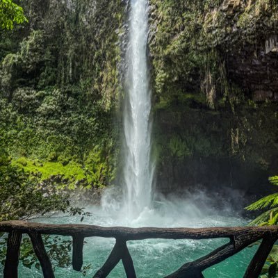 Charmainetb's profile picture. Just here for the occasional laugh and trending news. ❤️✌🏾😊