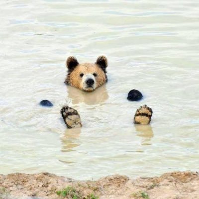 jesscrisg's profile picture. retalhos de vivência | eu amo falar sobre maternidade | tech