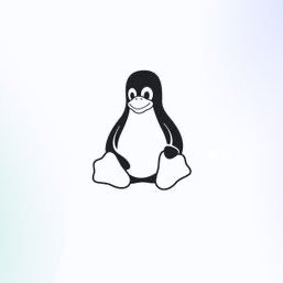 Bmxvelocity's profile picture. 5hark! 🦈