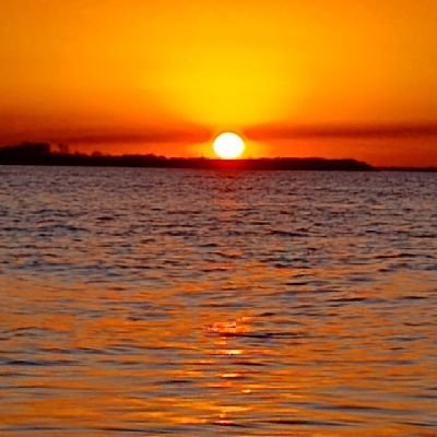 MartinMerino022's profile picture. 