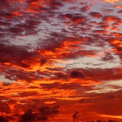 ijXyv1BPCK73048's profile picture. 