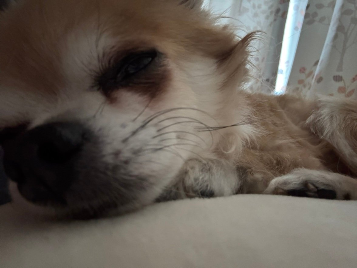 sonodan2012's profile picture. 