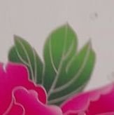 afsaramjad610's profile picture. 