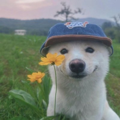 aguacatee7's profile picture.