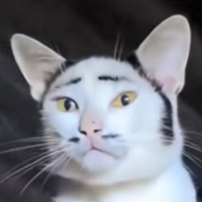 mob085955351's profile picture. 