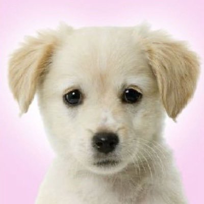 Life_is_L0VE2's profile picture. 07 医医志望