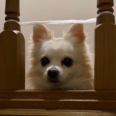 KimTora0420's profile picture. 