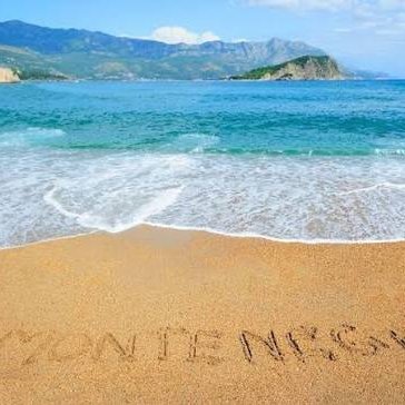 DraganKankaras's profile picture. 