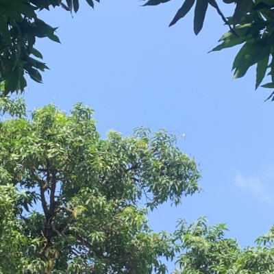 Saikou370455's profile picture. 