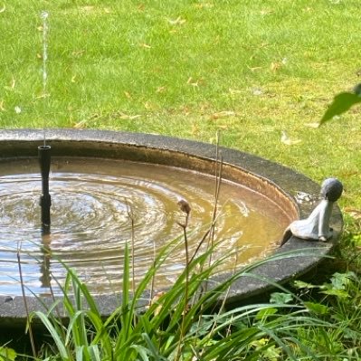 valente_gi33576's profile picture. 