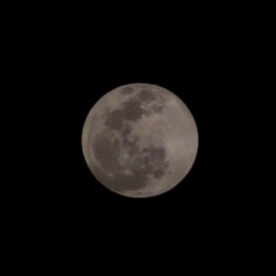 curtirgo's profile picture. Meu cantinho quente! 🔥