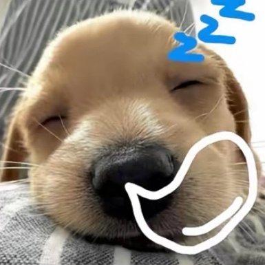 angelddo_1121's profile picture. WONBIN ♡ SOHEE