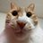 SibalWd's profile image