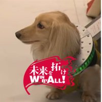 mazzo (@mazzo01) 's Twitter Profile Photo