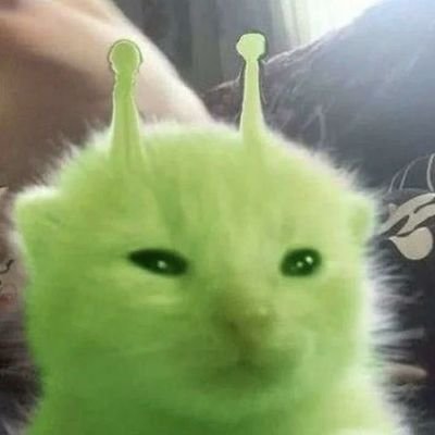 Gatronn_'s profile picture. No mas para ver funas de la gente
y montar cositas sobre mi canal o noticas de juegos