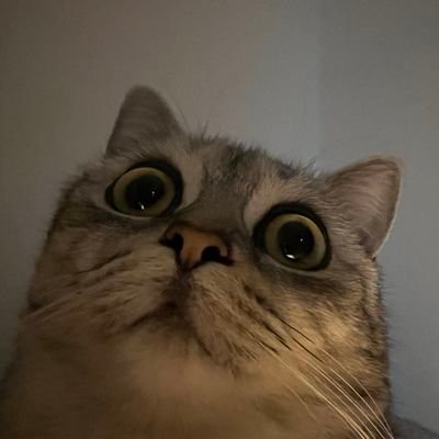 dhslekd's profile picture. 