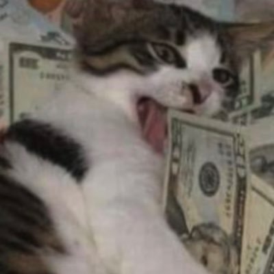 405CATOnSol's profile picture. 402 payment required. усD×V6PEo3pXWo46Ajuk3NwUHjcU6d6DBKLn481pump