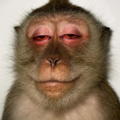 preshfeedspace's profile picture. Humor|| Cruise || Movies|| Music|| Sportybet|| Design ||🔞 contents||Product-Ul/ UX Designer 🔞don't forget to follow for more crazy contents