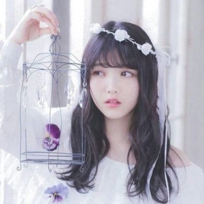 magicplumage's profile picture. 日記