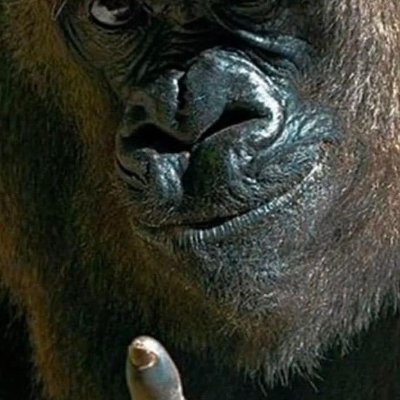 HoanggggR3's profile picture. cuộc sống luôn có 2 mặt đen và tối