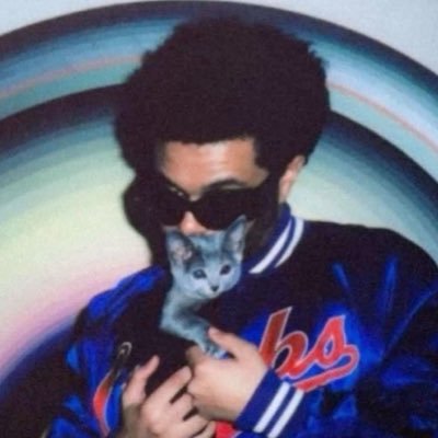 lalinhalaylay's profile picture. sai de casa e vim morar no Twitter