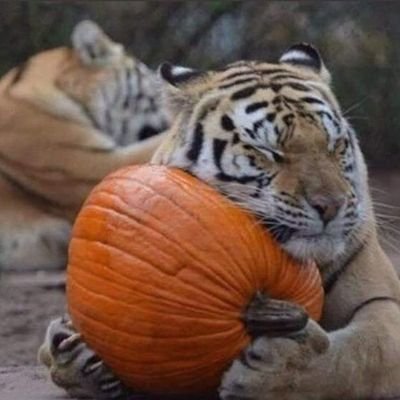 MrFlowi67's profile picture. 