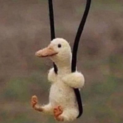 mammothman24's profile picture. 🌼