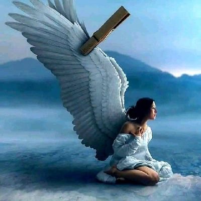 Meire49050201's profile picture. Pasatiempo... No me gusta juzgar... Ni sacar conclusiones por mi cuenta. Me gusta ser muy educada, pero no tonta.⚘🕊🤍